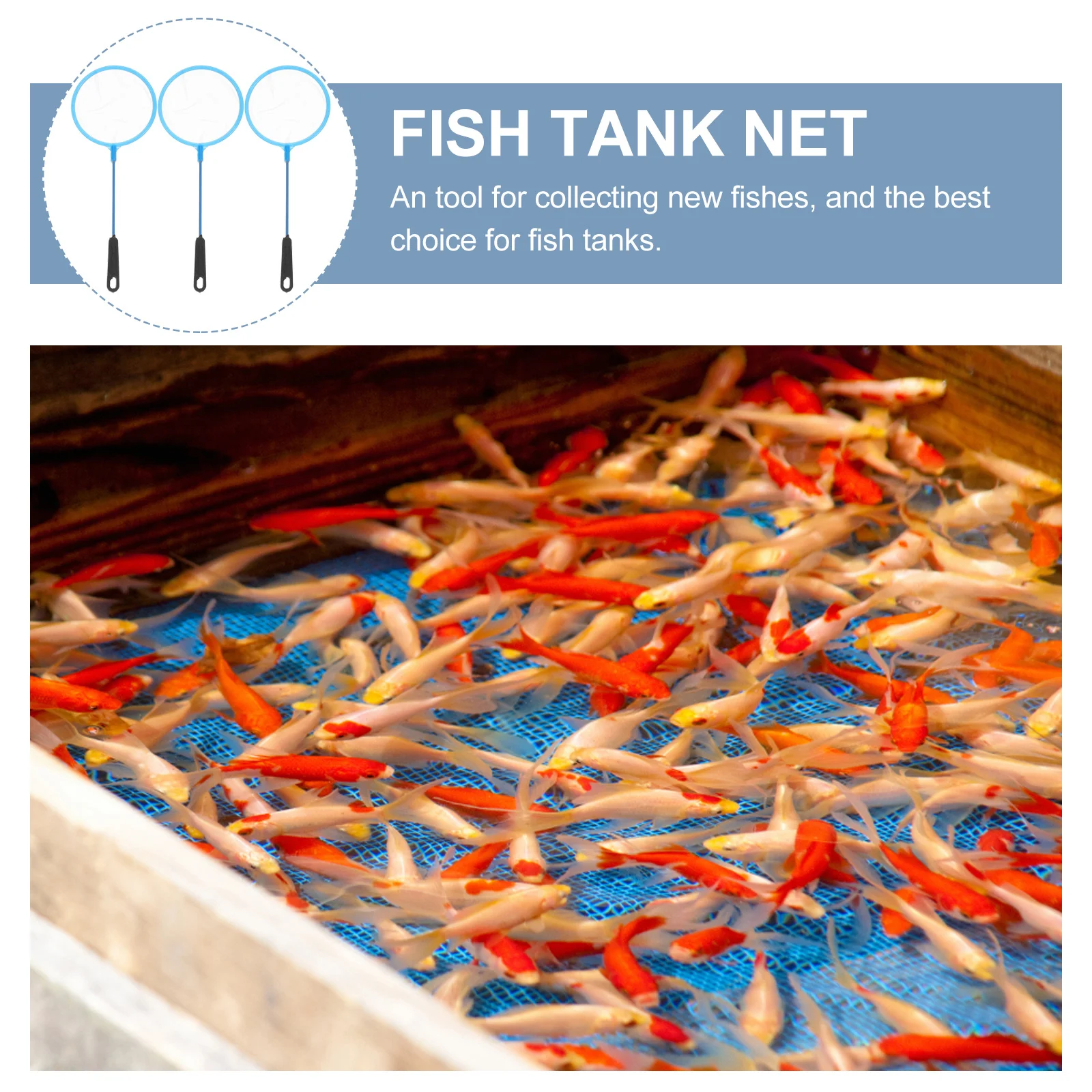 

30Pcs Fish Shrimp Net Nylon Mesh Skimmer for Aquarium Tank Debris Waste Uneaten Food Removal Fishing Net Aquarium Accessory