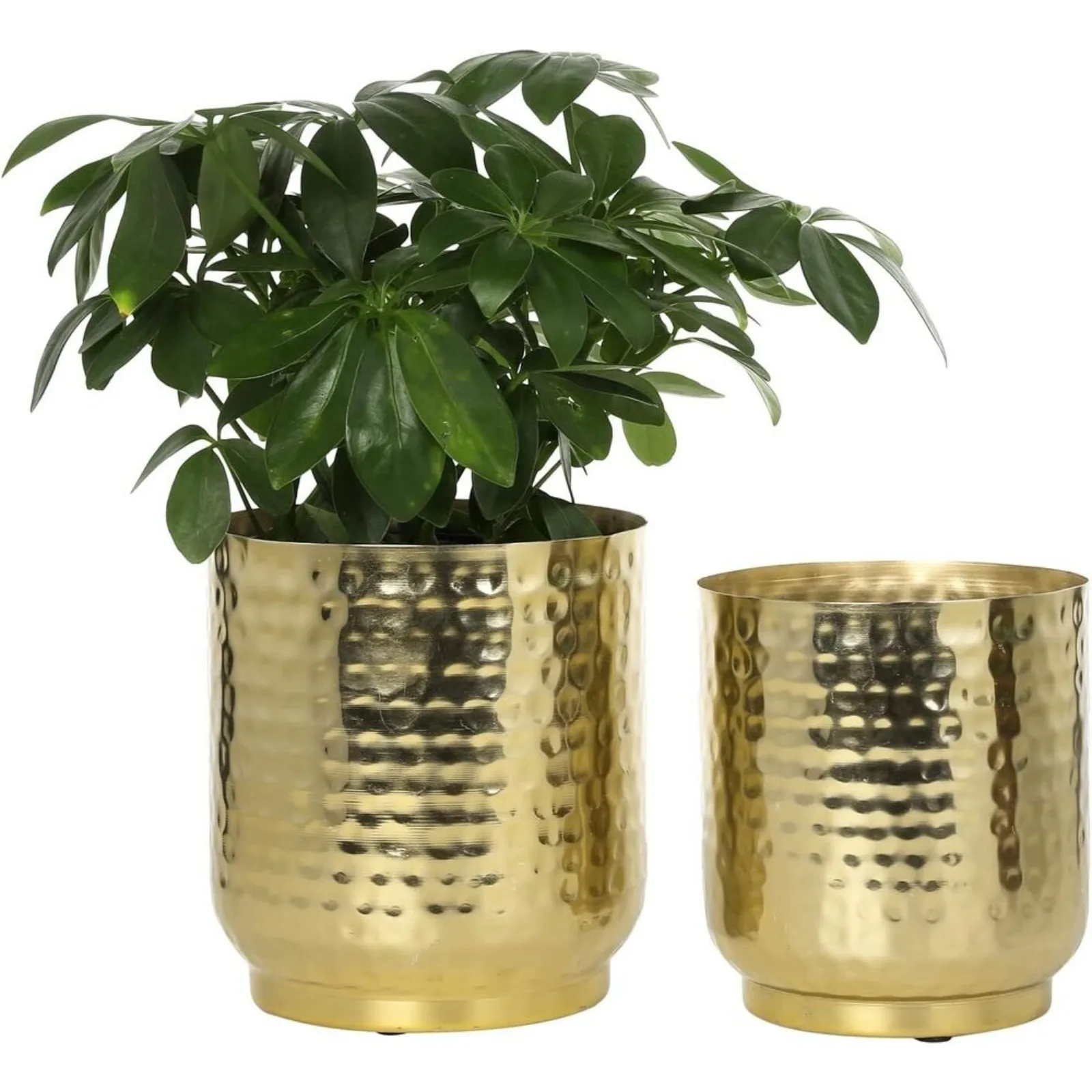 Brass-Tone Metal Planter Pot Indoor Plant Container, Succulent Planter, Set of 2 United States