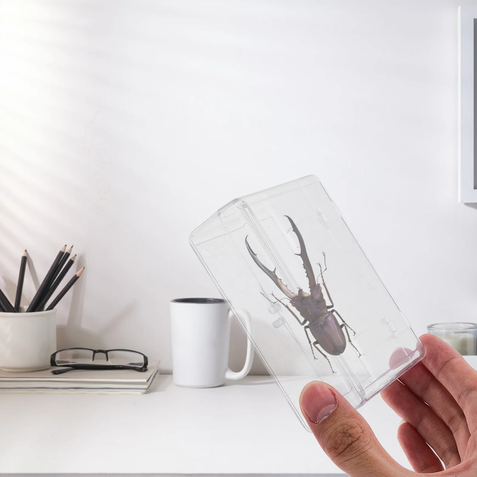 

1pcs Transparent Rectangle Storage Box For Badge Jewelry Specimen Display Holder Clear Case Organizer Portable Pin Box