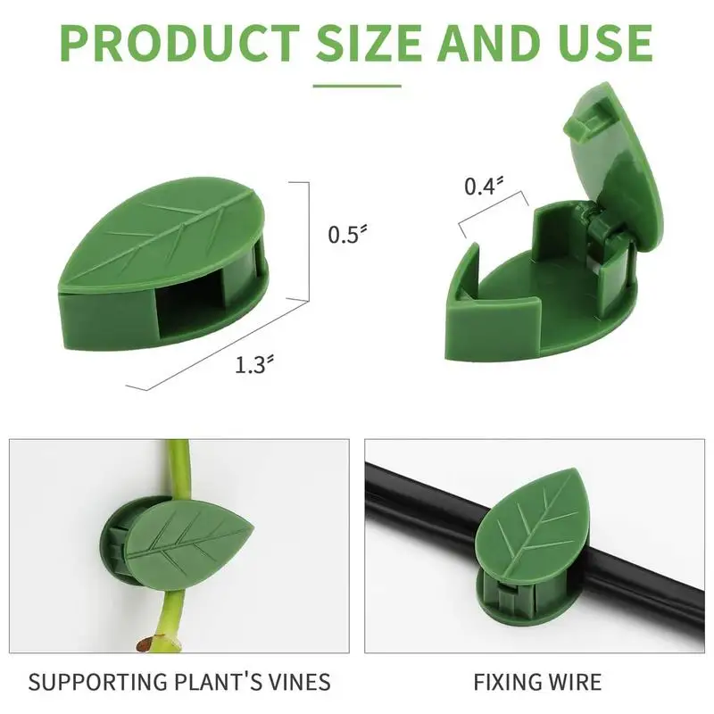 Plant Climbing Wall Fixture Clips Adhesive Plant Clips Pack Plant Support Clips Flowers And Vines Upright Growing Tool