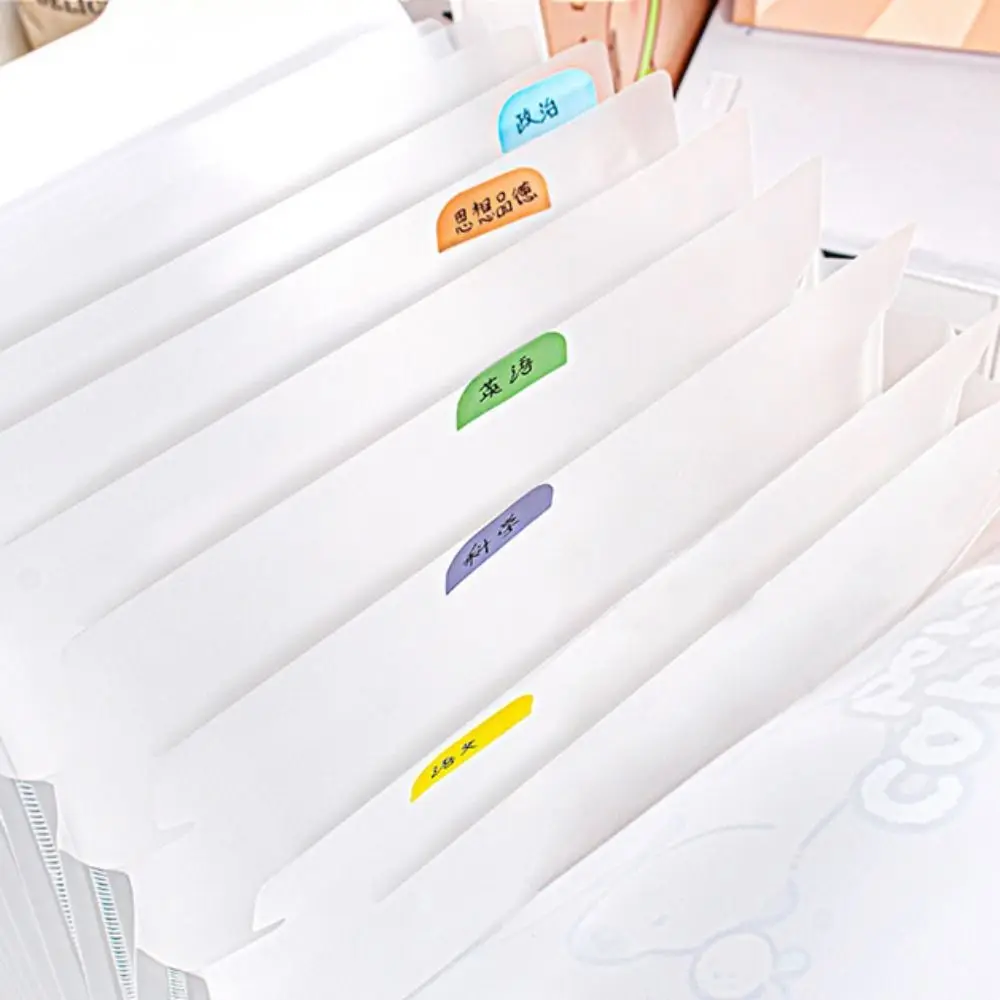 New Capybara A4 File Folder Creative Waterproof File Organizer Large Capacity PP Portfolio