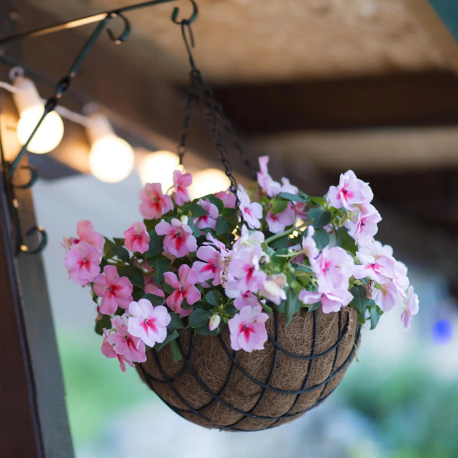 

Coco Liner | 7.87 Inch Round Coco Liners for Hanging Basket Mat Replacement | Natural Coconut Fiber