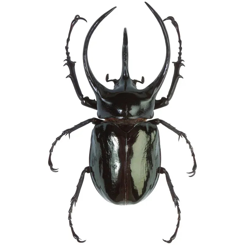 

For Tamiya XV02 RC Car Blue Aluminum Alloy Shock Mount Base W106 Shock Mount 22056 Toy Accessories DIY Repair Parts