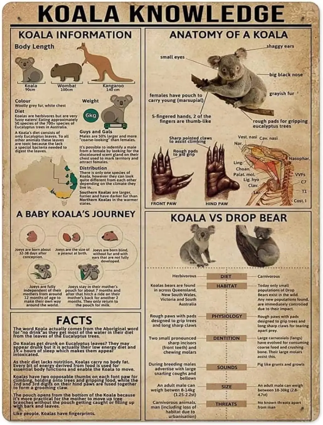 Koala Knowledge Metal Retro Print Poster Tin Signs Koala Information Wall Art Decor Crafts Home Bedroom People Cave sign