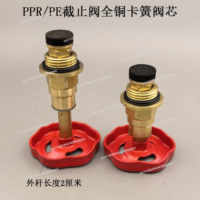 For PPR Globe Valve Valve Core 4 Minutes 6 Minutes 1 Inch