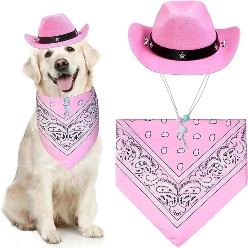 Dog Cowboy Costume Set 5