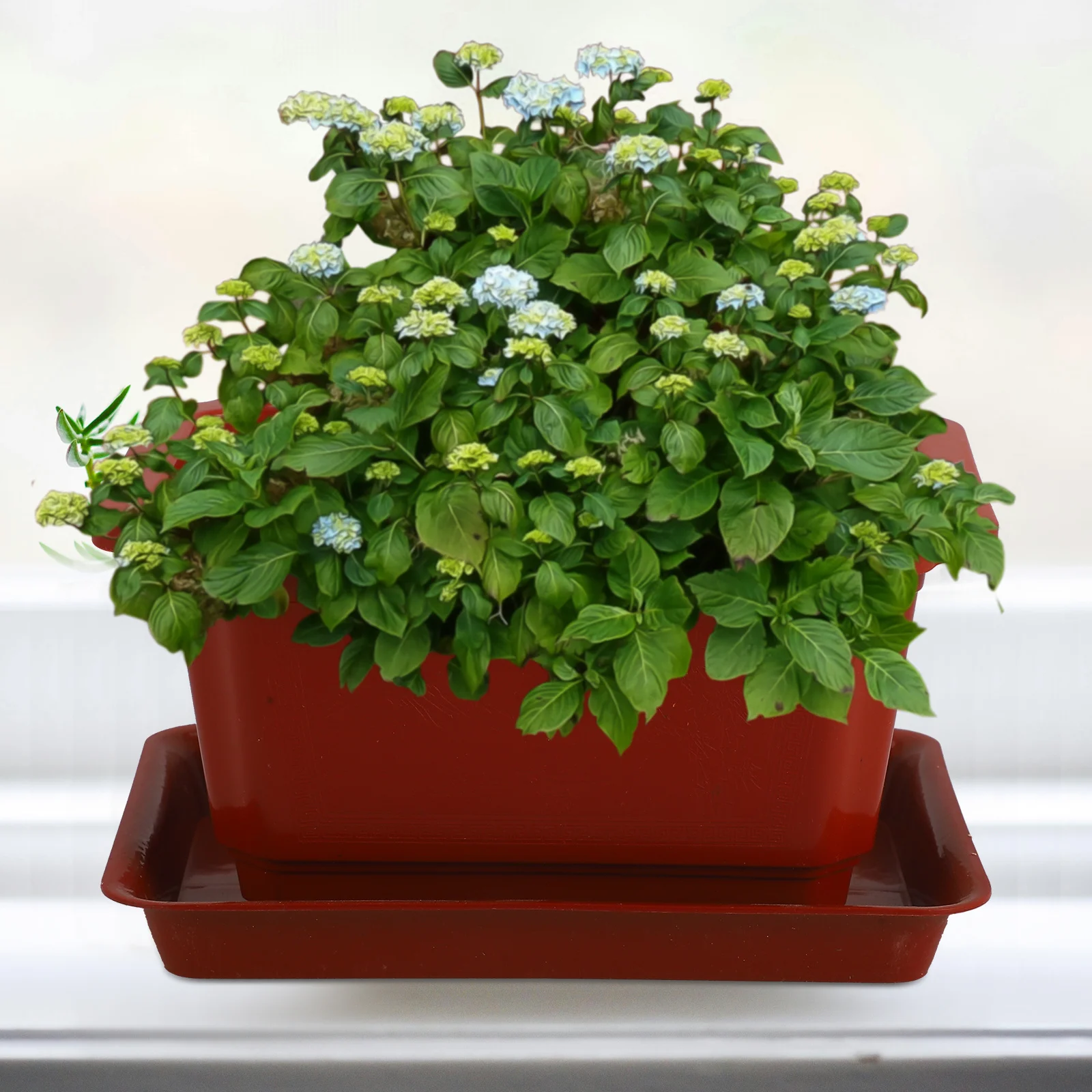 

5 set Large Bonsai Pot Flowerpot Plastic Planter For Succulents Herbs Indoor Outdoor Home Office Garden Use Container