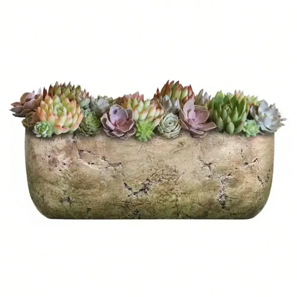 

Plant Pots,8 in. Earth Moss Cement Use with Indoor, windowsill, DIY Production and Party Favors Decoration Best Gift for Aunts