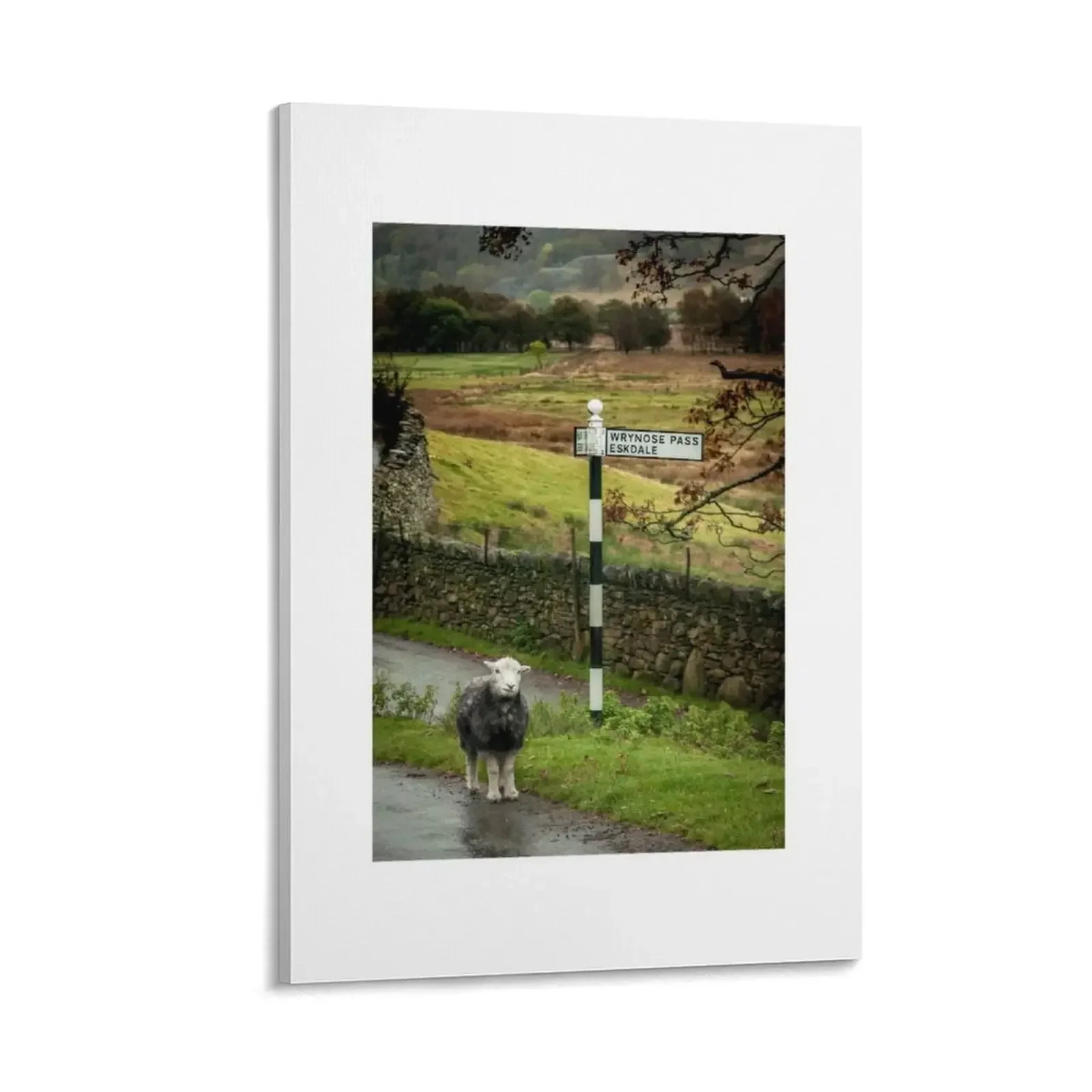 

Lost Sheep, Lake District, England Canvas Painting Decoration wall photos for living room room decor