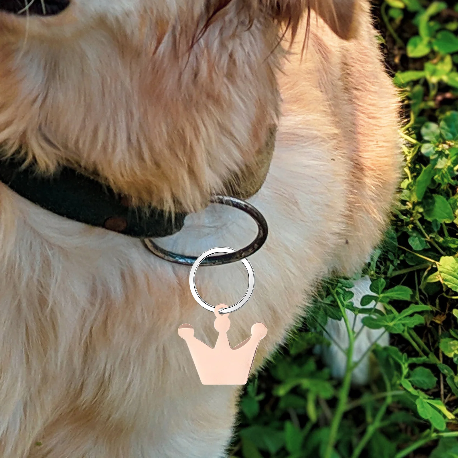 

6Pcs Blank Dog Tags Metal Pet Id Tag Laser Engravable Crown Design Scratch Resistant Lightweight Small Dog Name Tag Pendant