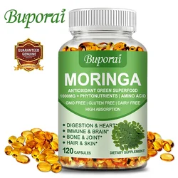 Moringa - Supports Energy, Skin Health, Gut Health, Antioxidant