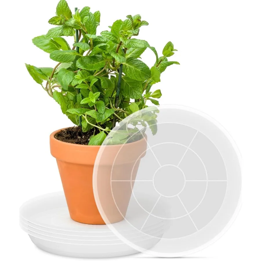 

PACETAP 12 inch Plant Saucer Pot Tray 5 Pack Large Thickened PP Plastic Flower Planter Water Drip Trays for Indoor Outdoor Gard