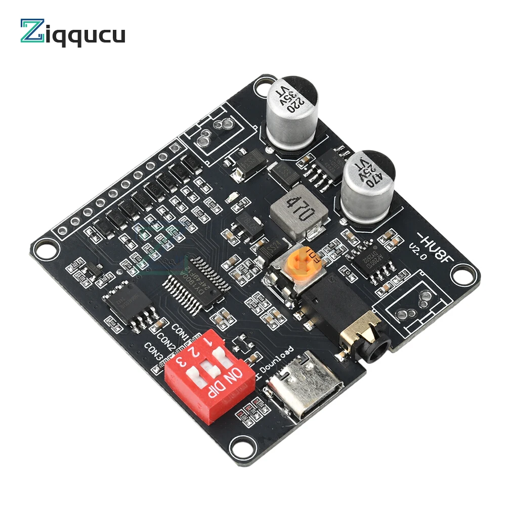 Voice Playback Modu…