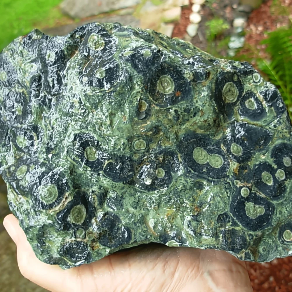 Natural Kambaba Jasper Raw Stone Quartz  Stone Mineral Specimens Healing Crystals for Reiki Chakra Balancing for home Decoration