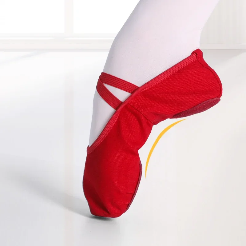 Zapatillas de Ballet para niñas y mujeres, zapatos de baile de Ballet, zapatos de entrenamiento de gimnasia para adultos, zapatos de Ballet de suela