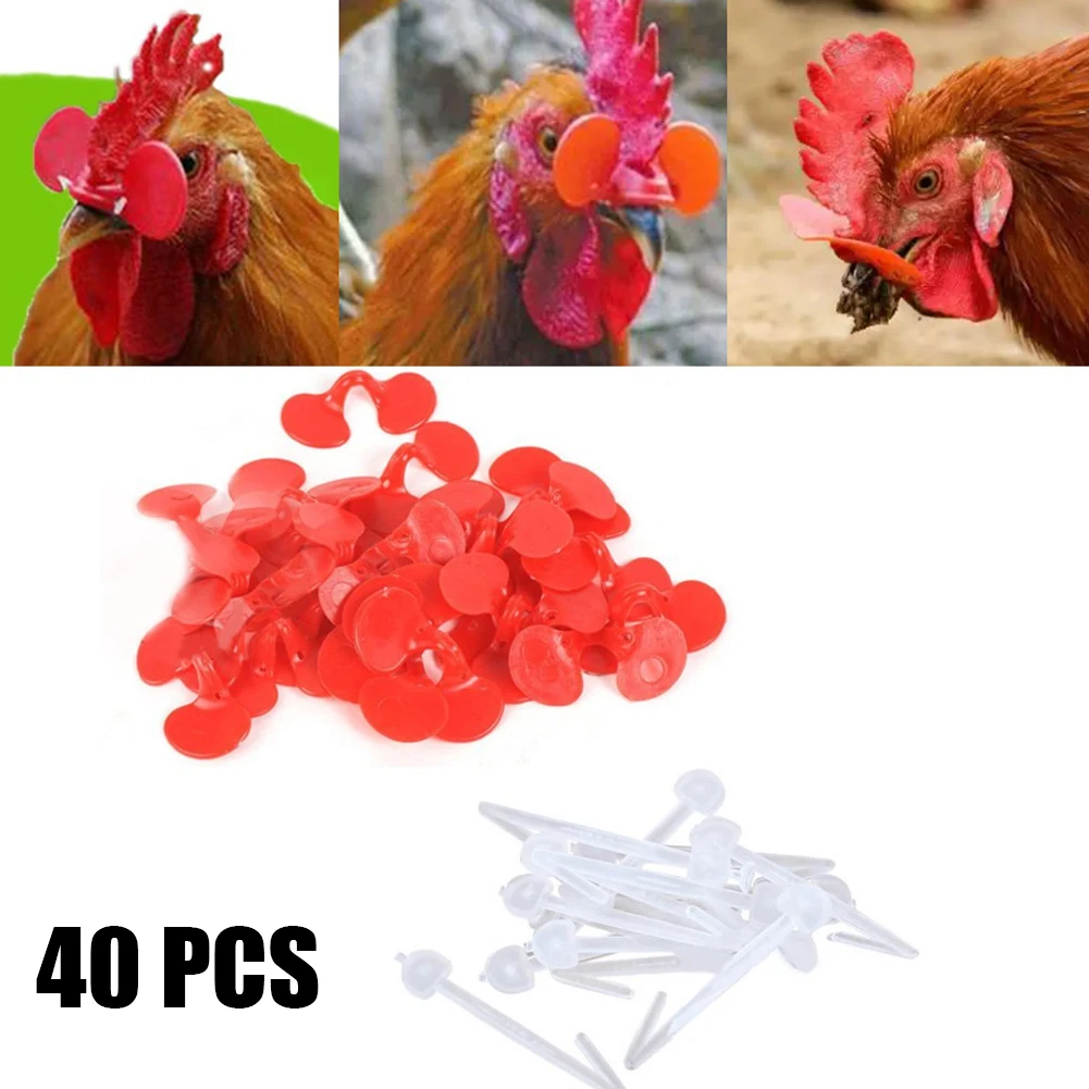 Chicken Peepers Brillen Peepers Brillen Blinders Chicken Glasses Chicken Peepers 43 x 27 mm Anti-Picking