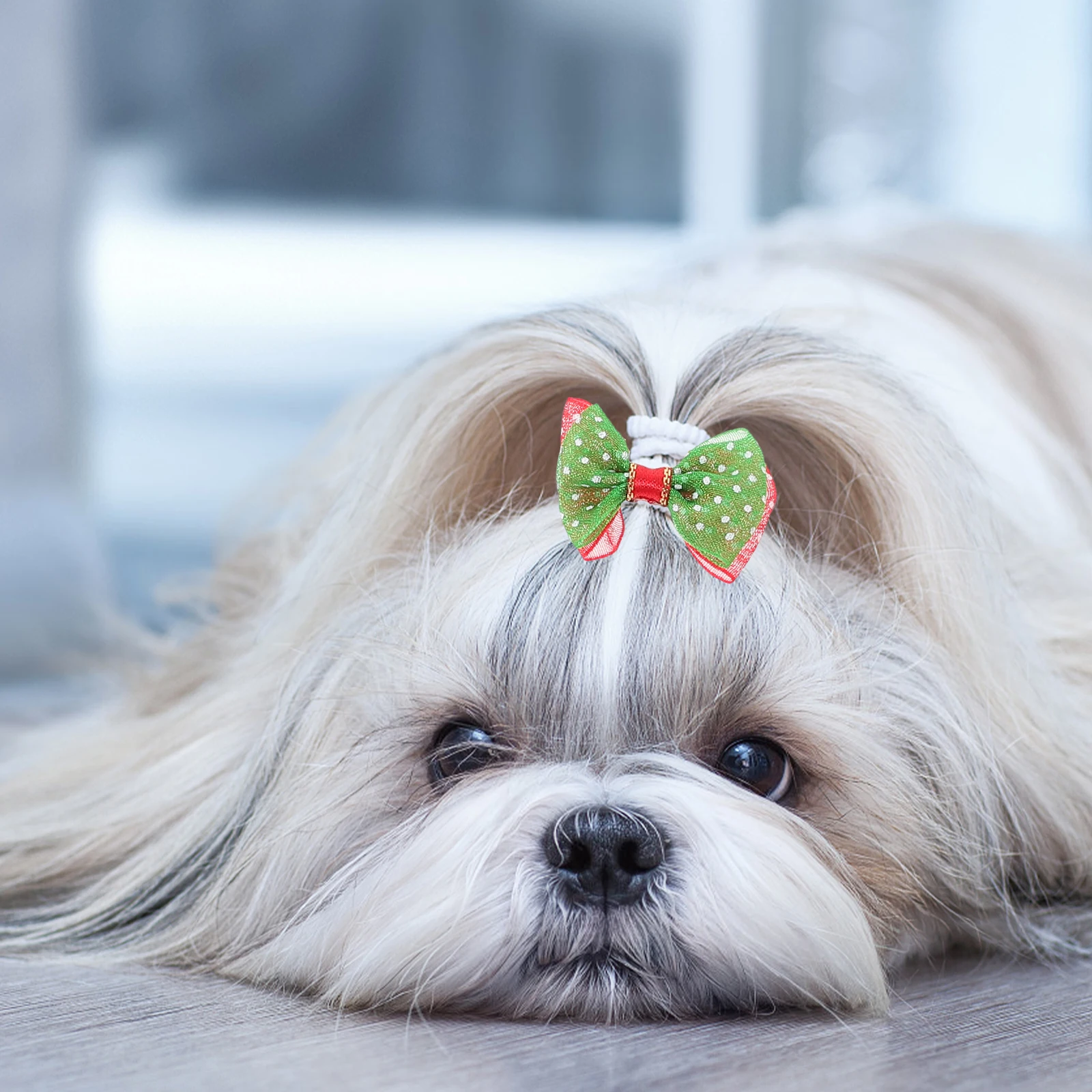 

10 Pcs Dog Hair Bows Bands Christmas Grooming Accessory for Small Dogs Bowtie