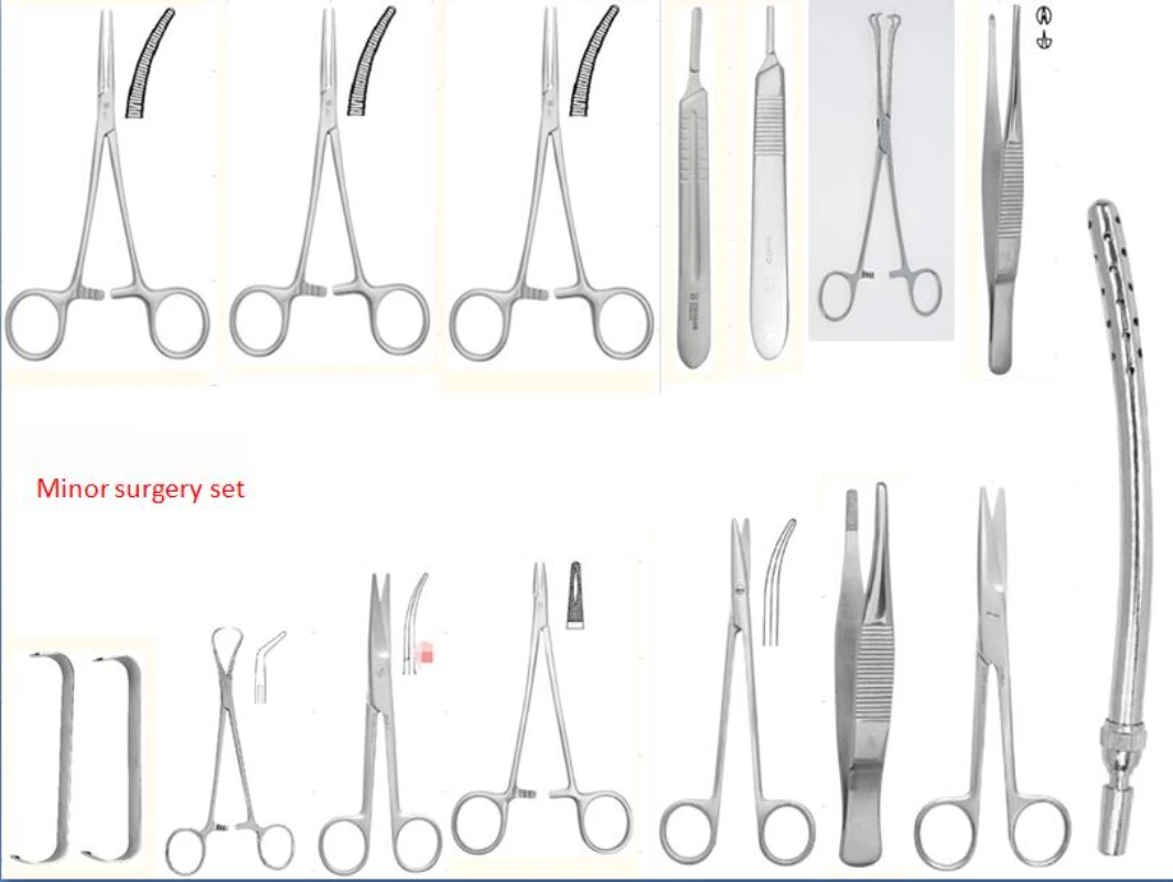 Veterinary Surgical Instruments Surgical Instruments Veterinaty Animal Pet Surgical Instrument Set