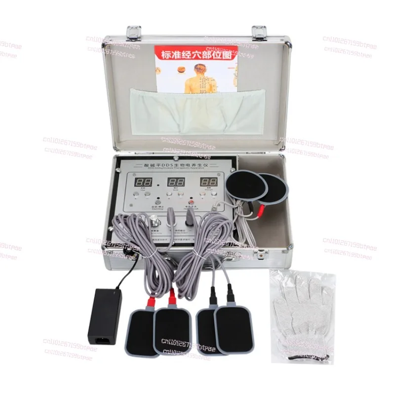 Bioelectric Electrotherapy Regulation Meridian Dredging Physiotherapy Whole Body Detoxification Pulse Bioelectric Massager