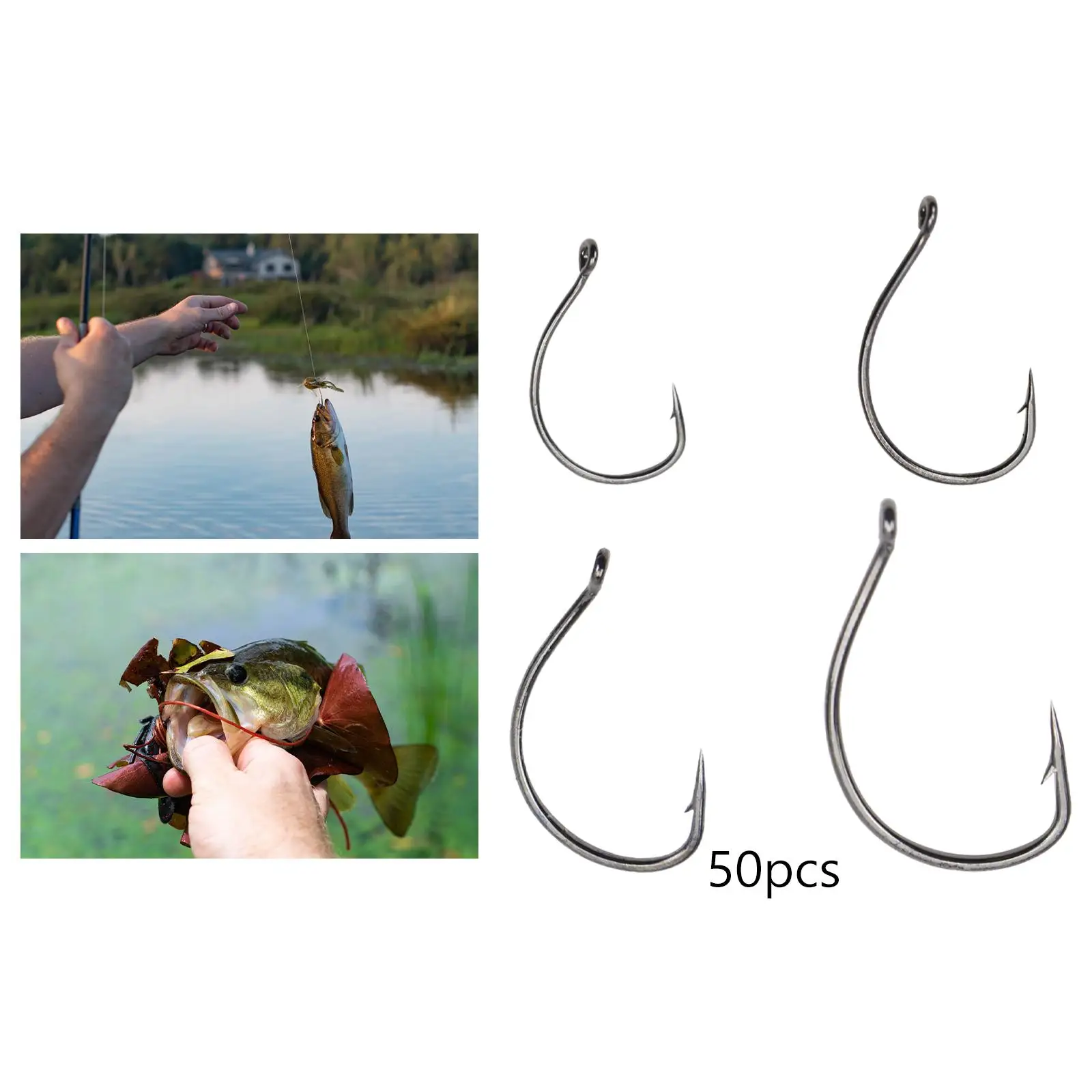 50x Fishing Hooks Set Circle Hooks Tools Gear Strong Outdoor Equipment Fishing Hooks Catfish Hooks for Fishing Catfish