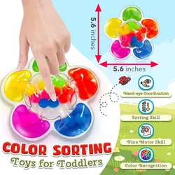 Giocattoli sensoriali per ordinamento di colori da 10 ml Classificatore di colori visivi sensoriali Montessori Giocattoli coordinati Formazione Giocattoli educativi per bambini