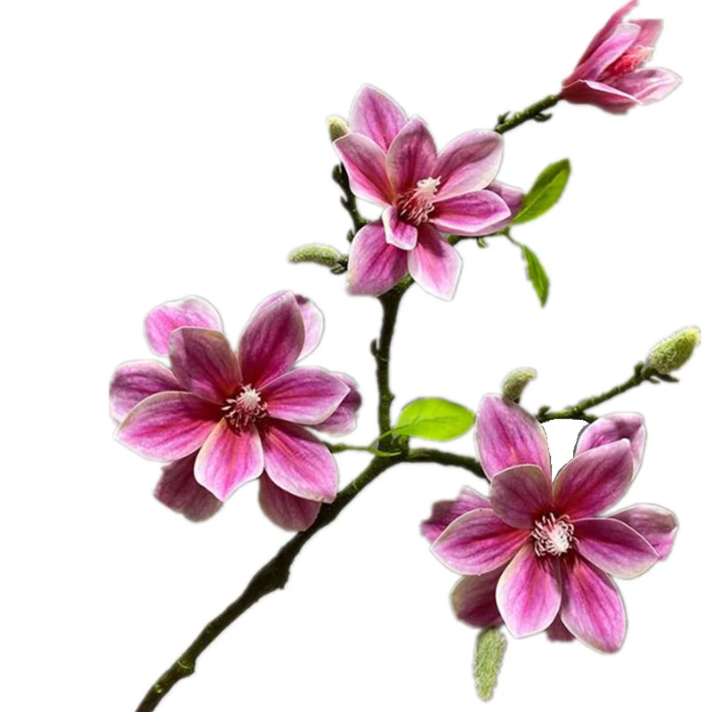 ONE Faux Short Stem Magnolia Flower (4 Heads/Piece) for Wedding Home Decorative Artificial Real Touch Magnolia Denudata