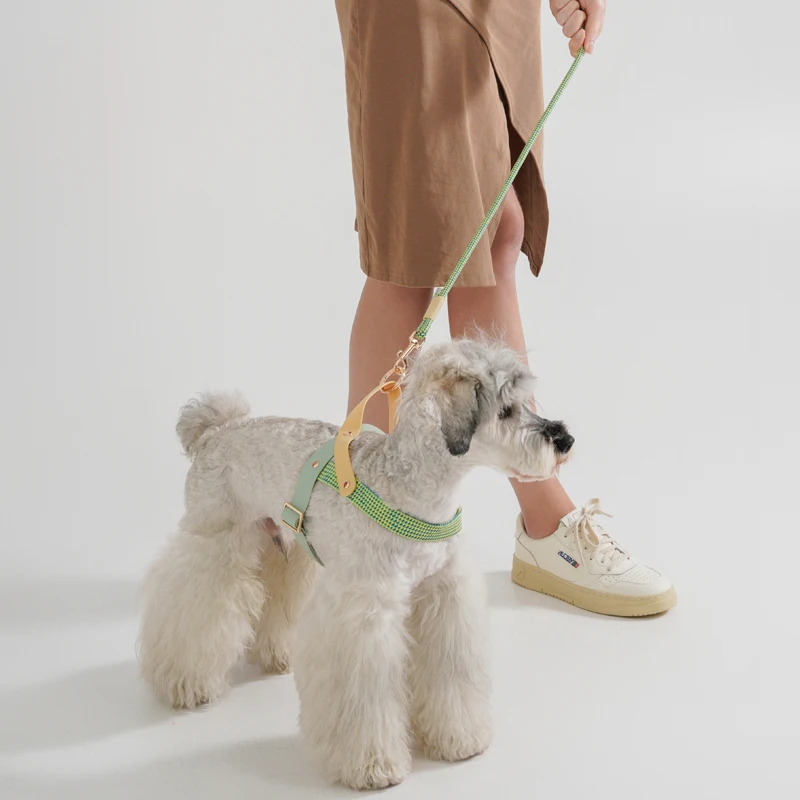 Dog walking Simple Style Harness Pet Supplies Fashionable Black & White Striped Chest Harnesses And Leashes Set For Running Dog