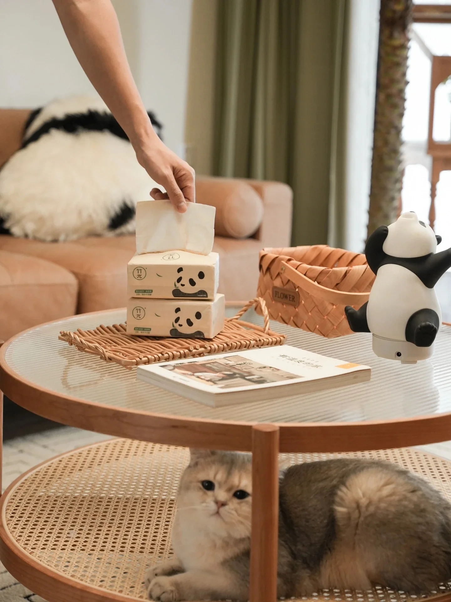 Japanese-style solid wood rattan coffee table glass low round table small apartment simple wabi sabi sofa side table