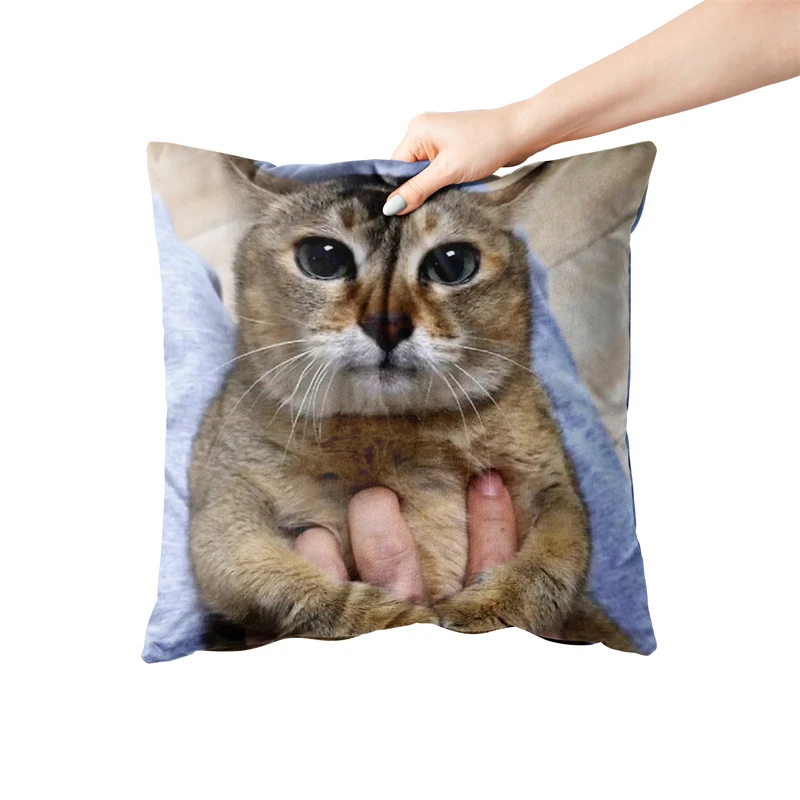 Aertemisi 18\'\' x 18\'\' Tole Tole Cat Mei Mei Cat Square Throw Pillow Cushion Covers Cases Pillowcases for Sofa 45cm x 45cm