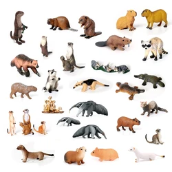 Simulation Forest Wild Animal Capybara Raccoon Badger Wolverine Anteater Beaver Otter Model Figure Collector Toys Gift For Kids