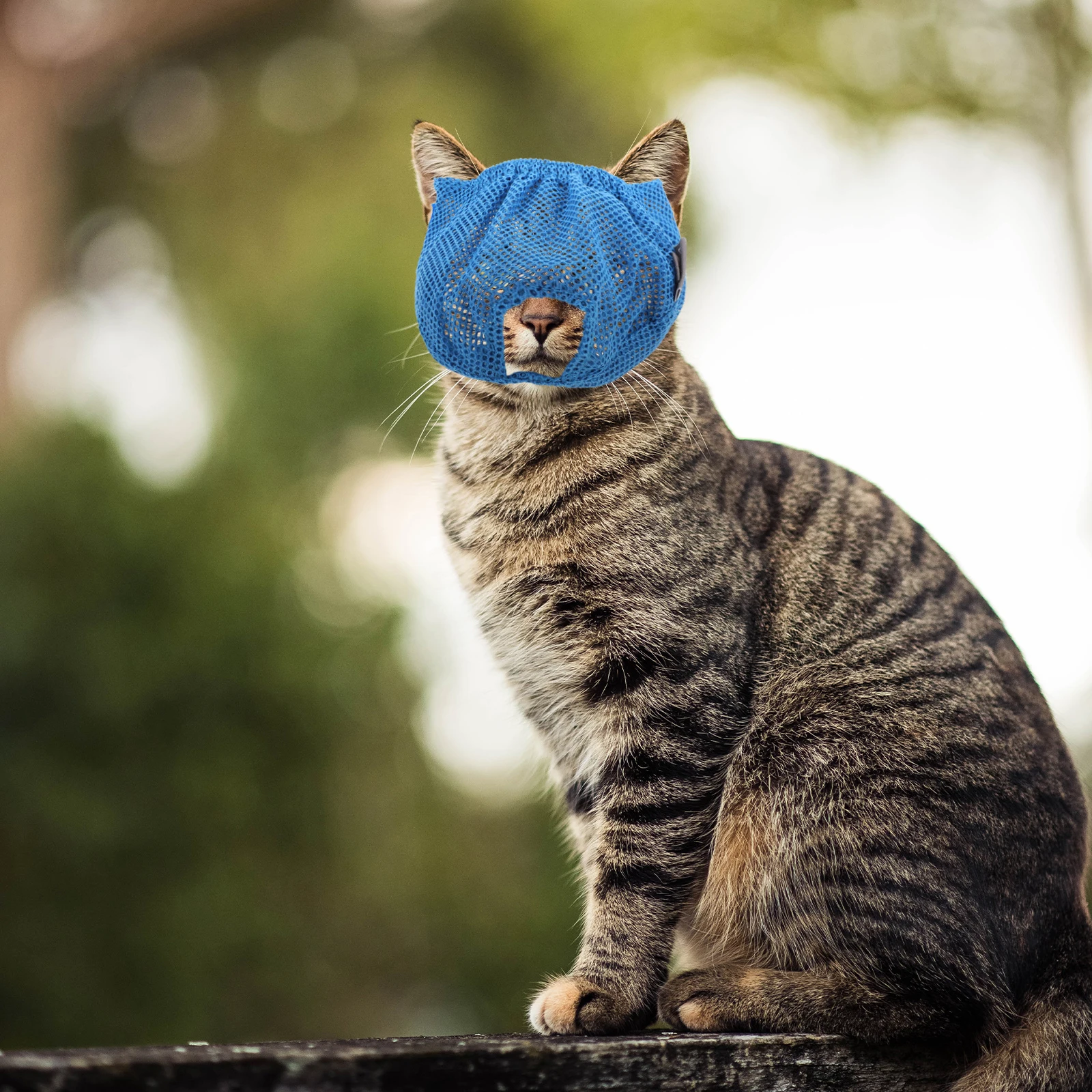 

Anti-bite Cat Head Cover Mouth Mesh Breathable Lightweight Pet Mask for Home or Hospital Use Polyester Anti- for Cats