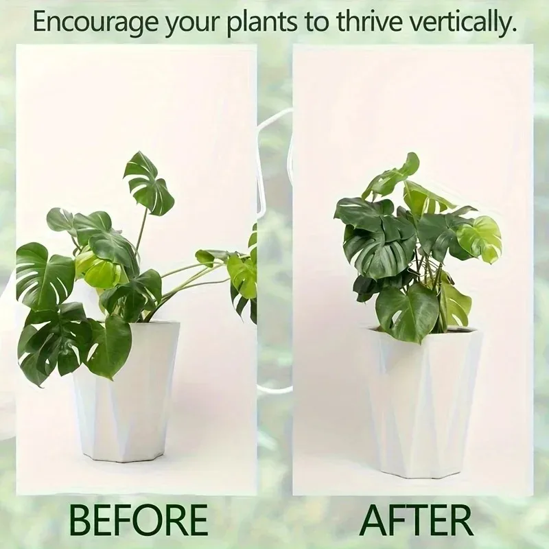 Soporte para Plantas, Estabilizador para Sostener Monstera y Flores