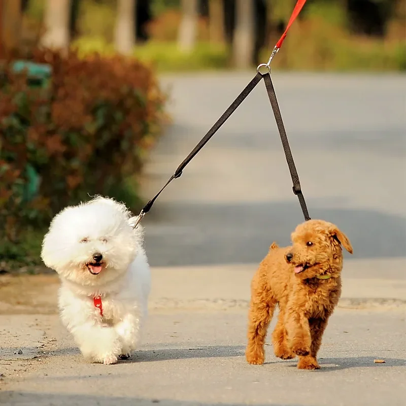 Outdoor Walking Two Dogs Leash Coupler Double Twin Lead Walking Leashes Hondenharnas Hondenaccessoires Benodigdheden