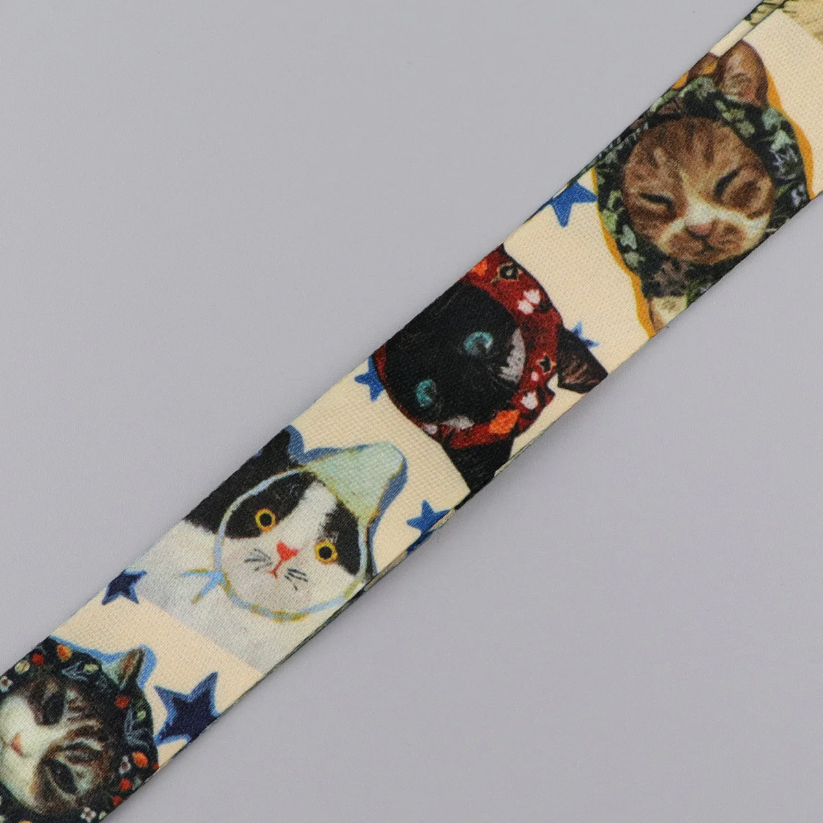Animal Black Cat Lanyard Neck Strap Keychain Funny Frog Card Cover Badge Holder Mobile Phone Hang Rope Keyring Accessories Gifts
