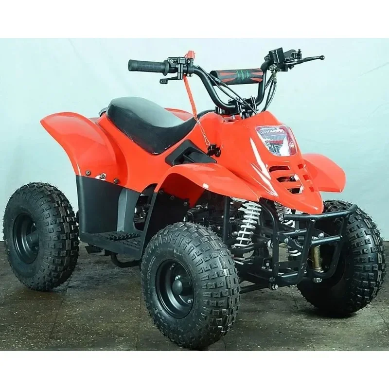 2024 All-Terrain Adult Electric Snowmobile New Mobile Snow Vehicle for Mountain Adventures Off-road Utility Vehicle