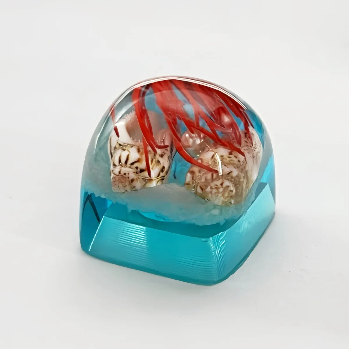 Conch Keycap Underwater World Resin Artisan Key Caps for Mechanical Keyboard DIY Cute Round Keycaps MX Switch Gaming Accessory