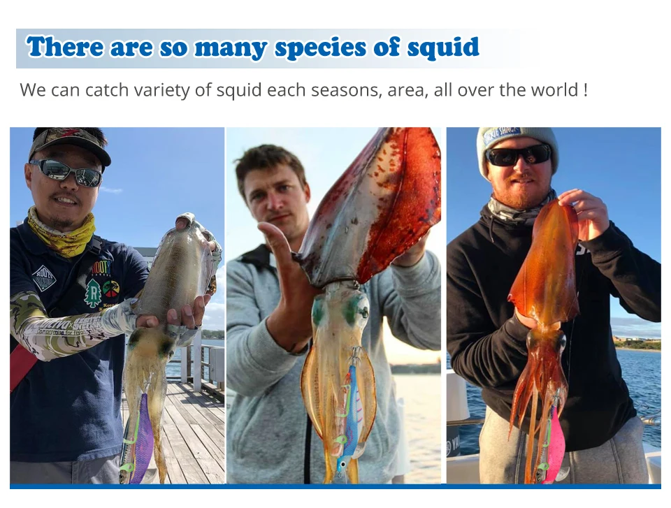 Neue Angeln Locken Tintenfisch Jig Gebündelt Leucht Webfoot Octopus Egi Tintenfisch Haken Künstliche Harten Köder Salzwasser Meer Garnelen locken – Detail 8