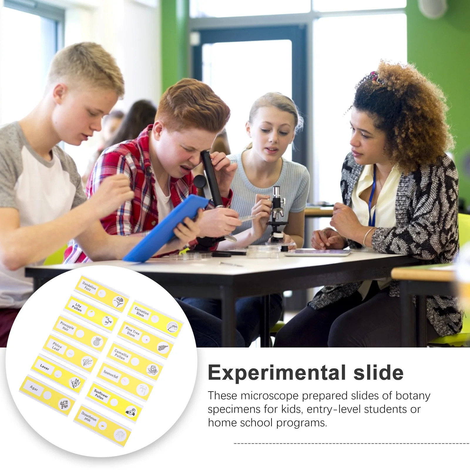 สไลด์ตัวอย่างสำหรับกล้องจุลทรรศน์ 12 ชิ้น สำหรับเด็ก ทำจากพลาสติกใส สำหรับเก็บตัวอย่างพืช ใช้ในการศึกษาด้านชีววิทยา