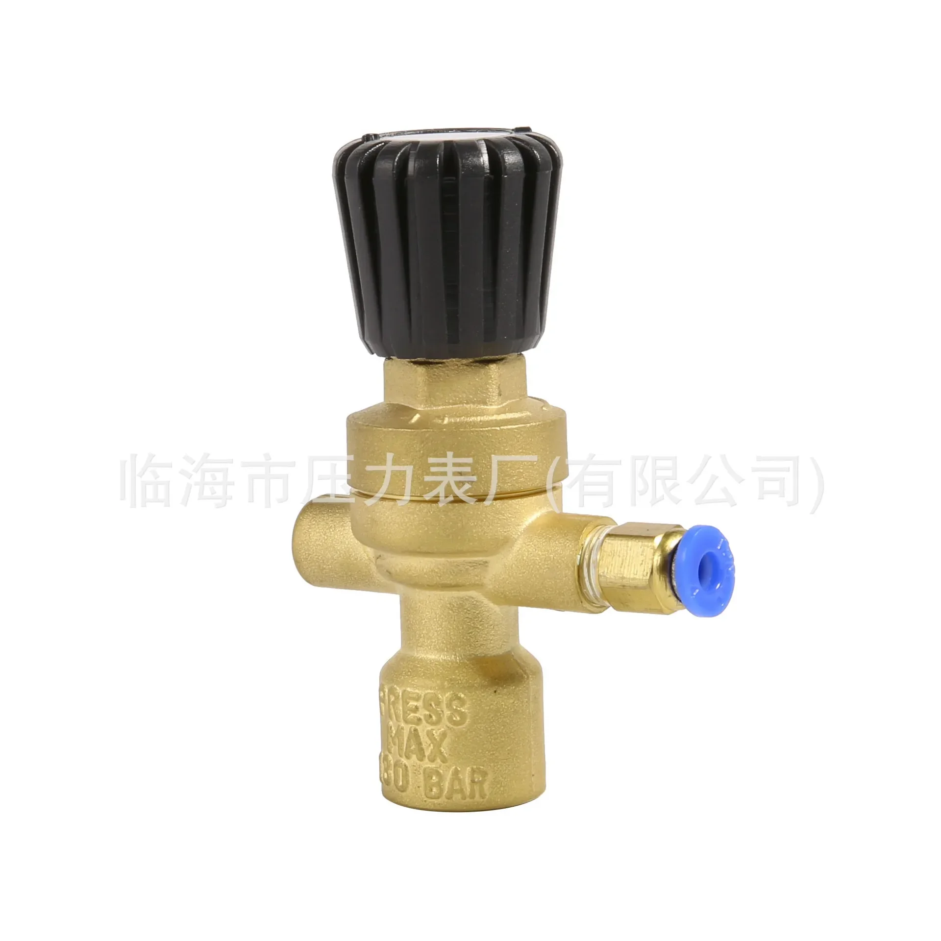 

Mini Argon Carbon Dioxide Pressure Reducer Pressure Gauge Instrument 36v220V Two Welding Pressure Reducing Valve