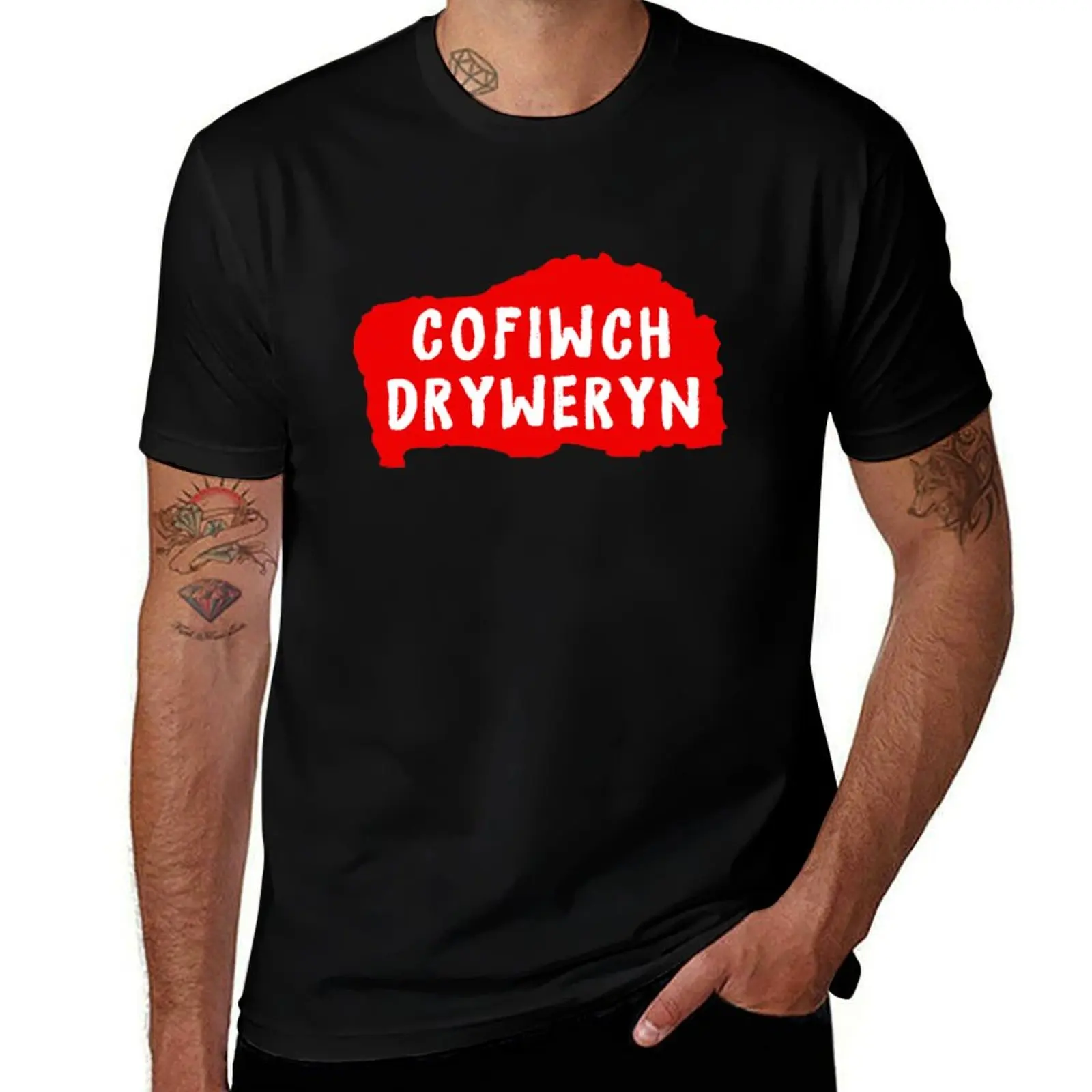 cofiwch dryweryn shirt T-Shirt customizeds anime stuff graphic tee shirt t shirt men