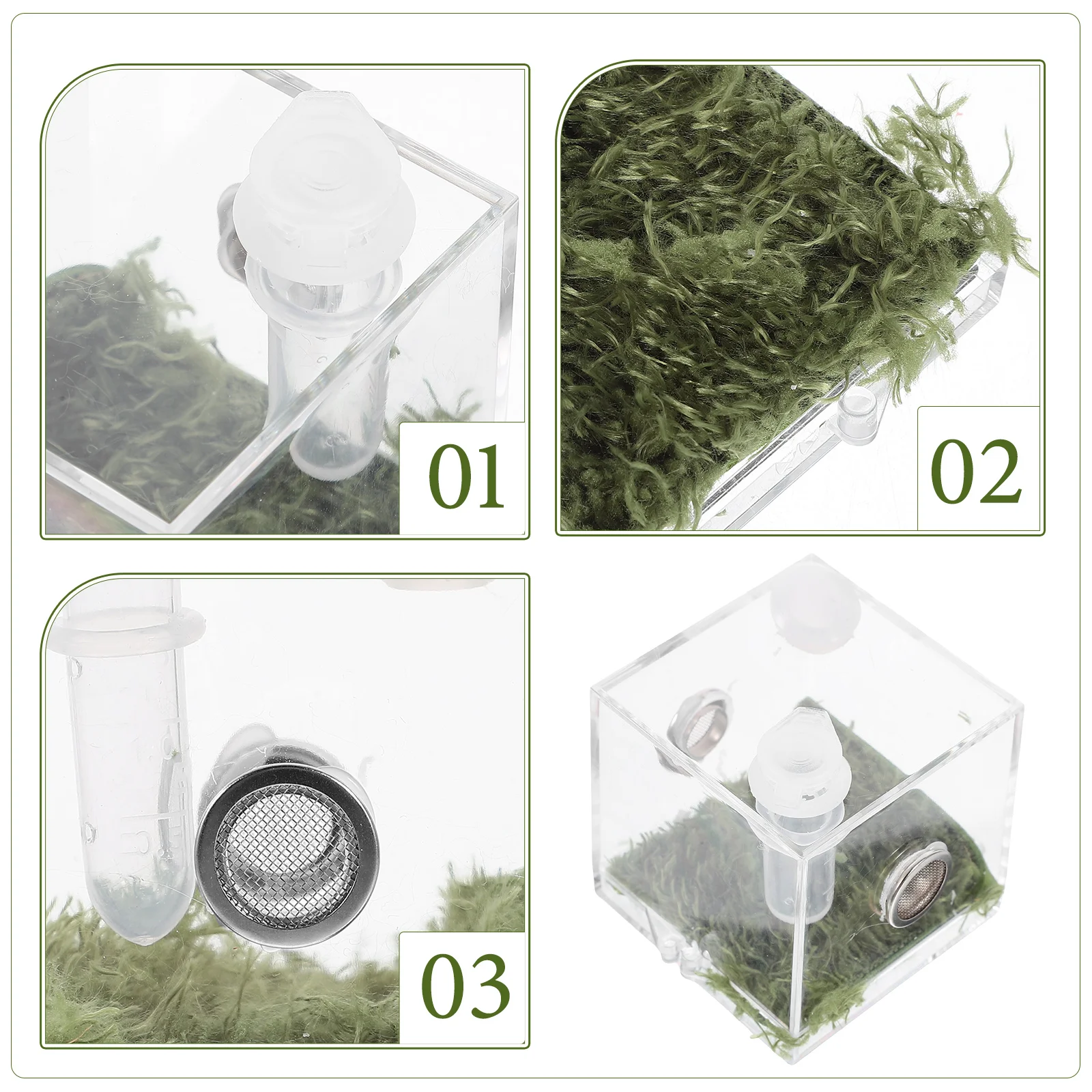 

2 Sets Jumping Spider Enclosure Durable Transparent Acrylic Boxes Spider Breeding Case Habitat Containers Pet Insects Reptile