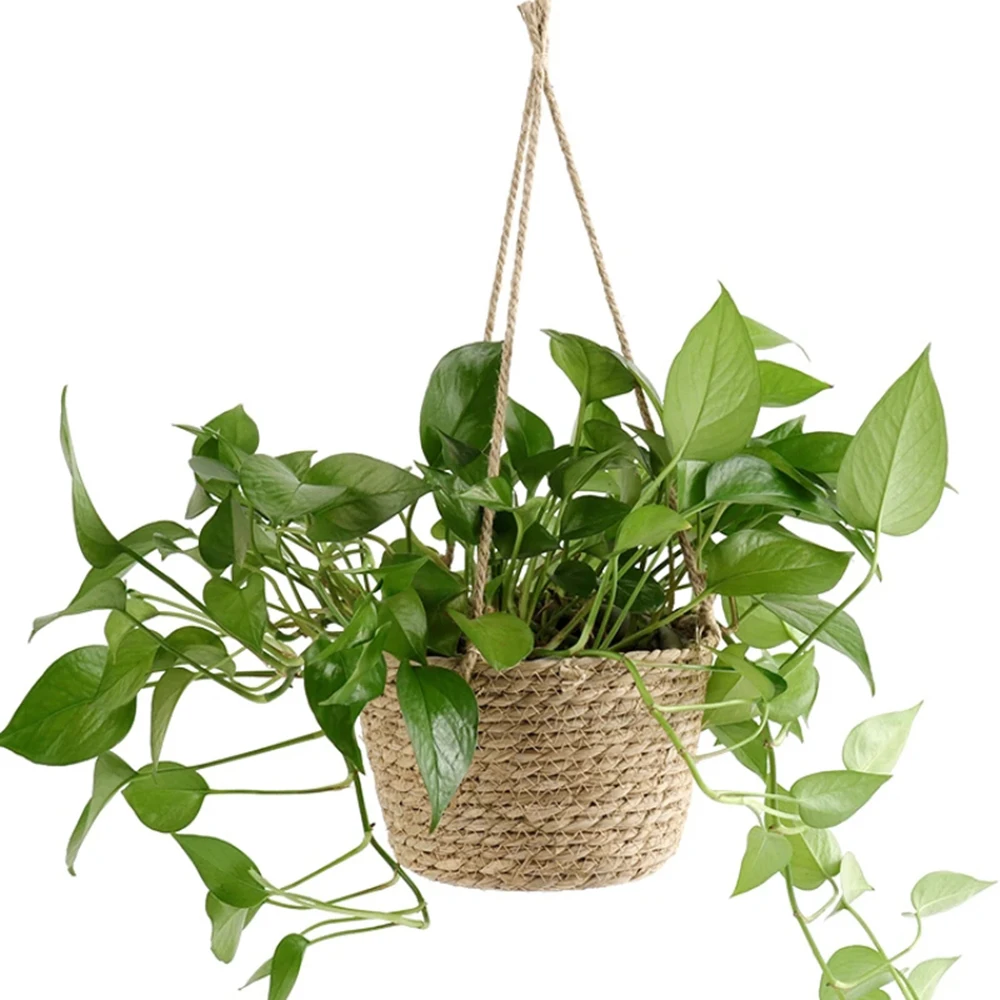Garden Straw Hanging Basket Planter Twine Woven Flower Basket Rattan Basket Hanging Orchid Pot Pot Hanging Basin