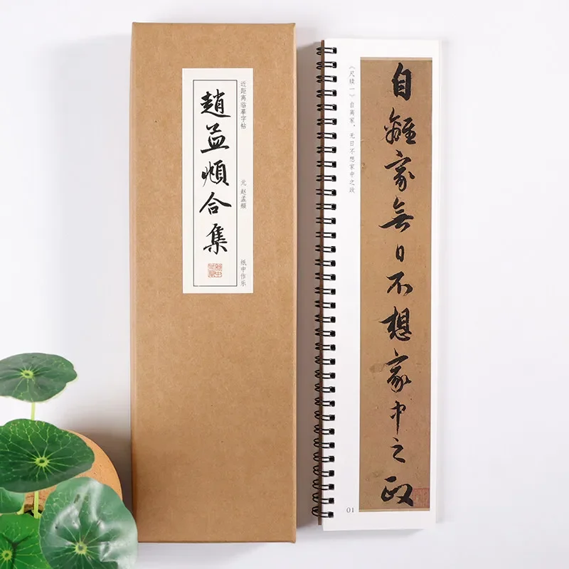 Running Script Calligraphy Copybook Collected Works of Zhao Mengfu Enlarge Chinese Characters Close-range Tracing Practice Cards