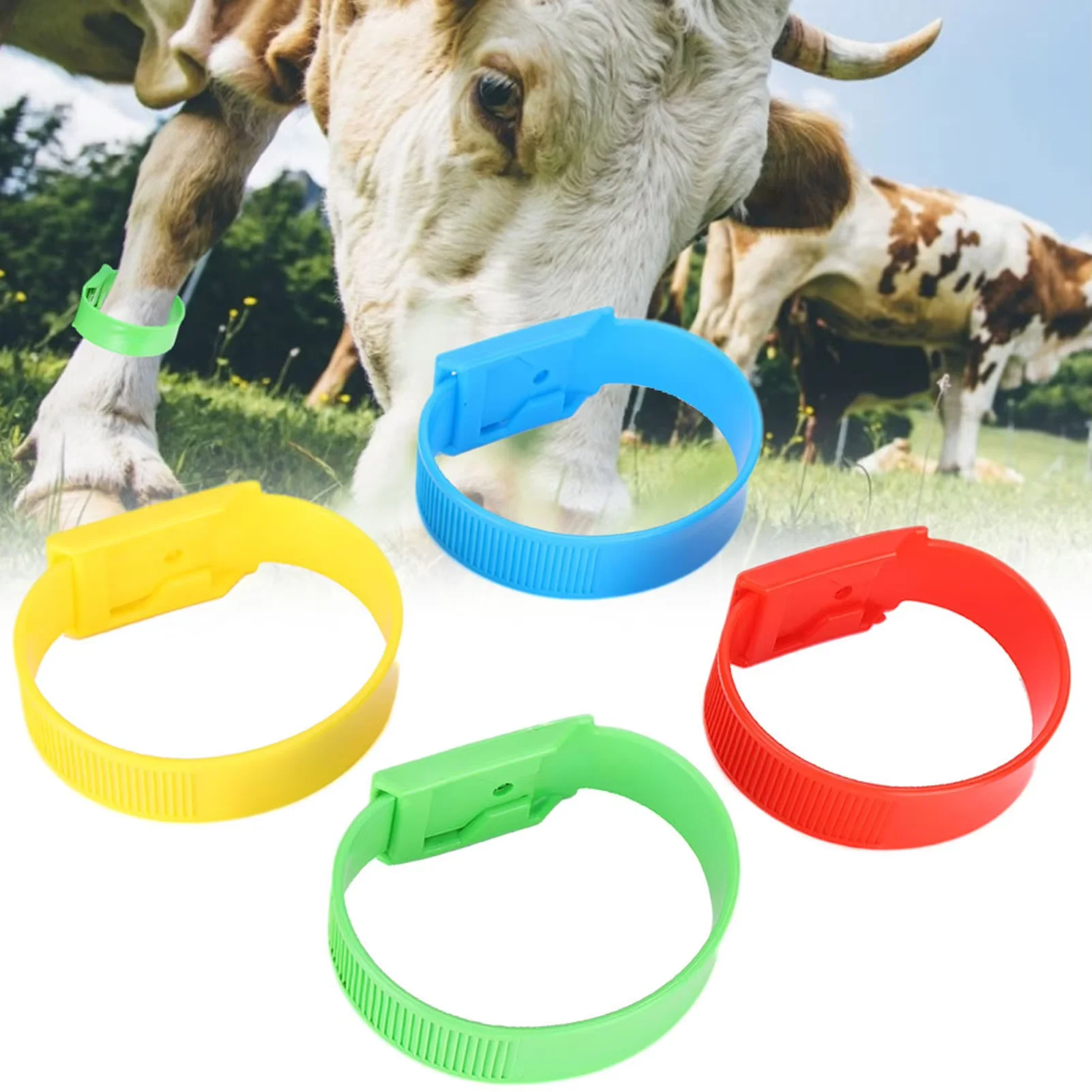 10/20Pcs Cow Identification Bands Identification Id Collars Bands Cow Cattle Foot Rings Marking Ring Supplies for Farm Livestock