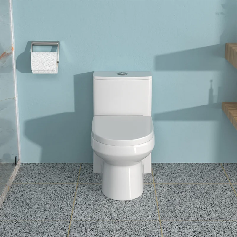 

Alixeperss Store Ceramic One Piece Toilet for Bathroom, 12-inch Rough-In, 1.1/1.6 GPF, Dual Flush with Soft Clsoing Seat
