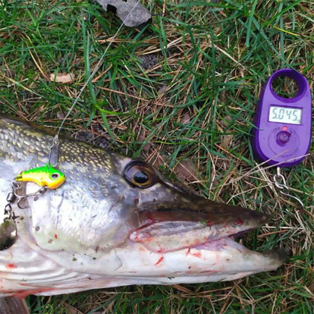 5 قطعة مجموعة طعوم الصيد المتذبذب الدورية المعادن VIB الاهتزاز الطعم سبينر ملعقة تهزهز طعوم البحر الاصطناعي الطعوم الصلبة الترتر معالجة