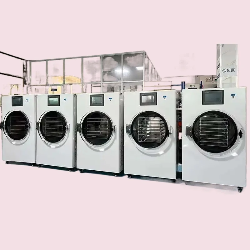 

Household Vacuum Freeze Dryer, Low-Temperature Fresh-Keeping, Cross-Border Preferred Model for Food Preservation