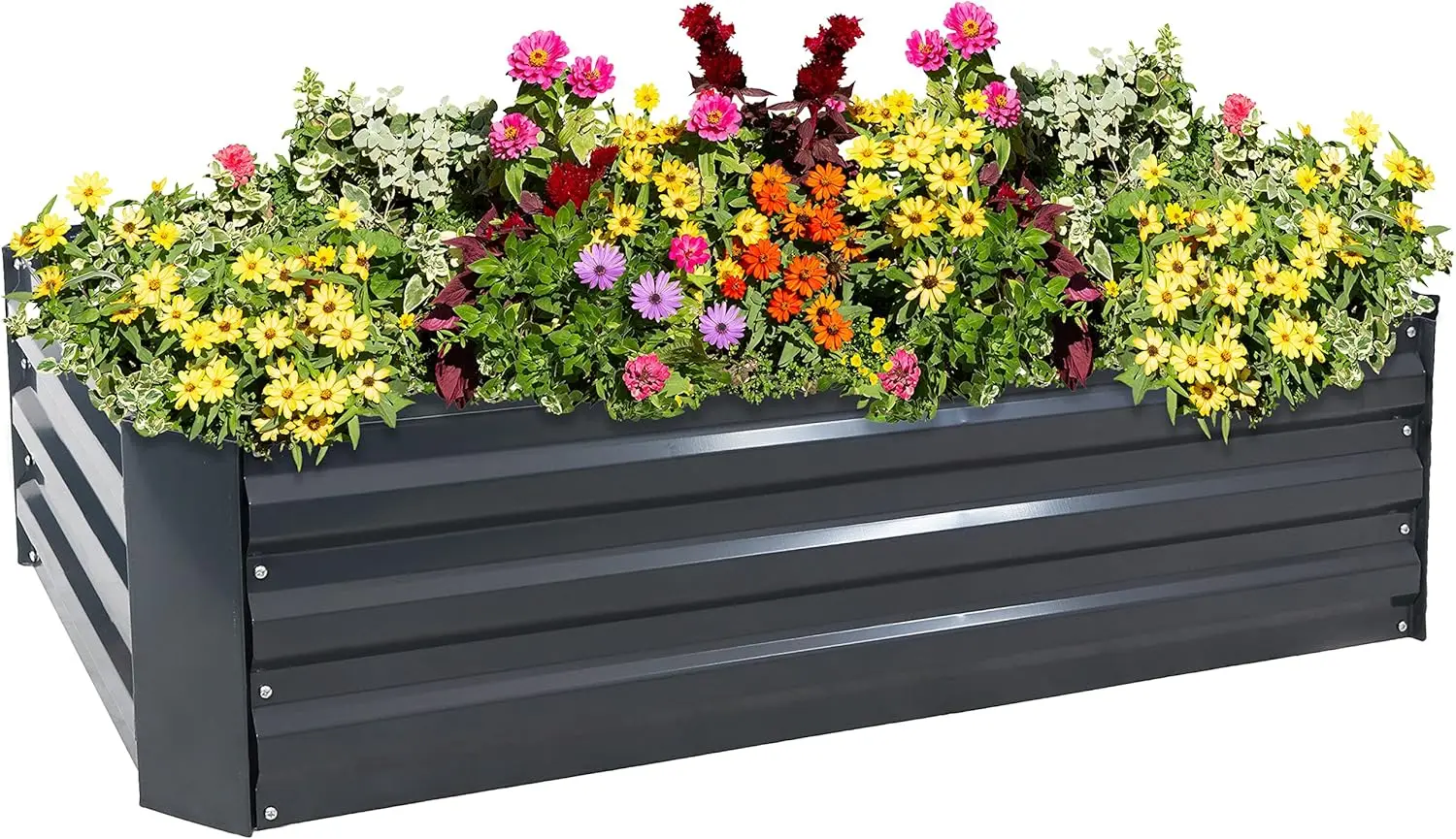 

4x2x1 ft Galvanized Raised Garden Bed Kit - Metal Planter Box for Vegetables, Flowers, Herbs - Dark Gray Rectangle