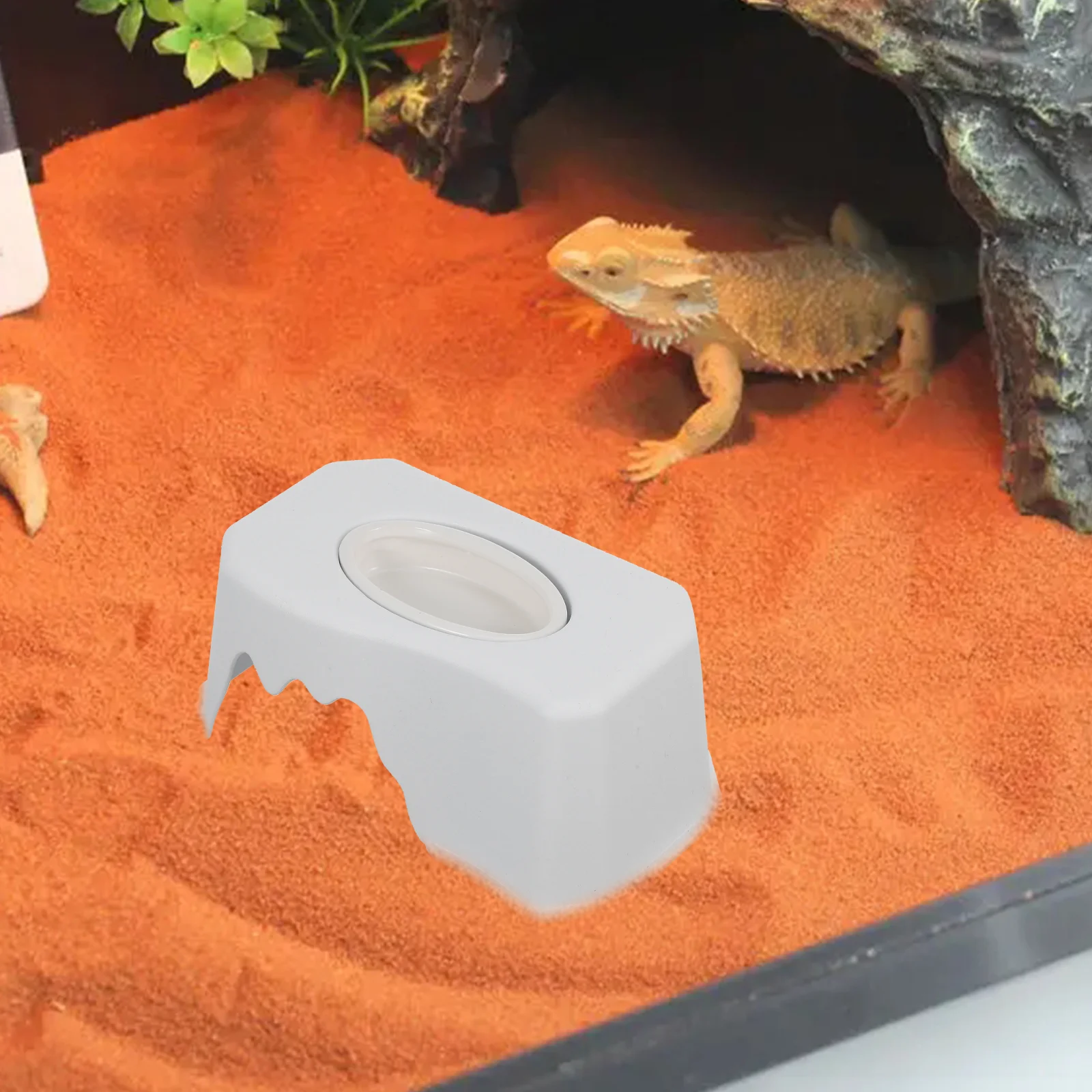 Toys Reptile Cave Lizard Hiding Place Practical Feeder Animal Hideout Feeding Multi-function Tortoise White Decor