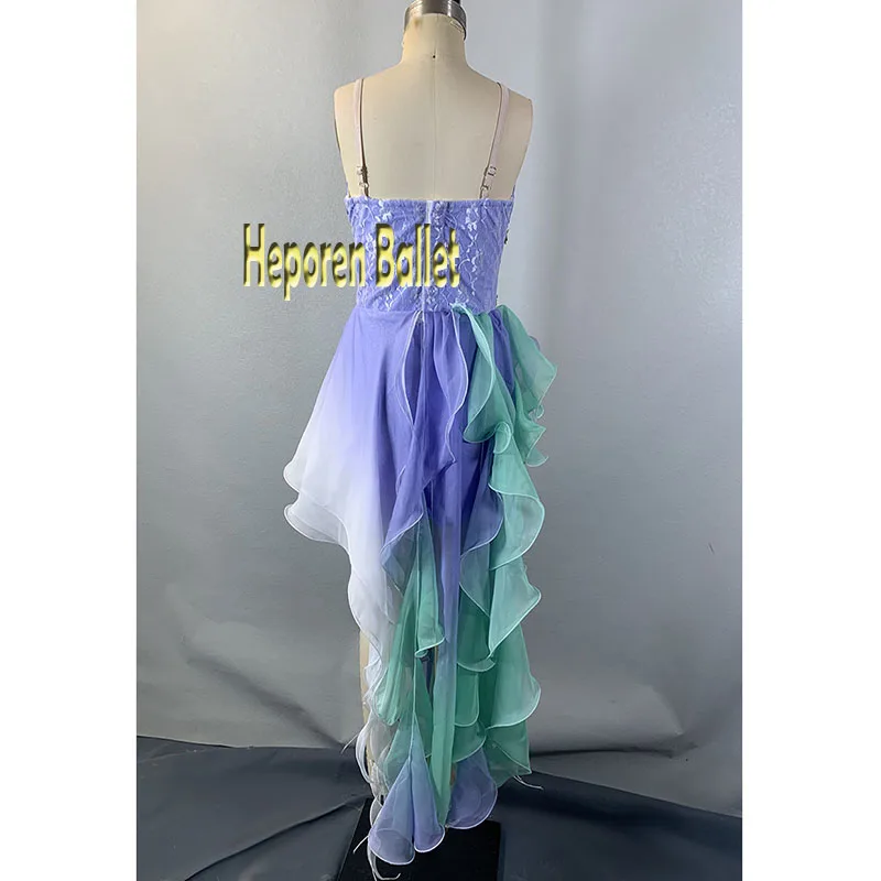 Mermaid Princess Ballet Dress With Long Tails Asymmetrical Layered Ombre Tulle,Custom Made For Performance Balet Dancewear